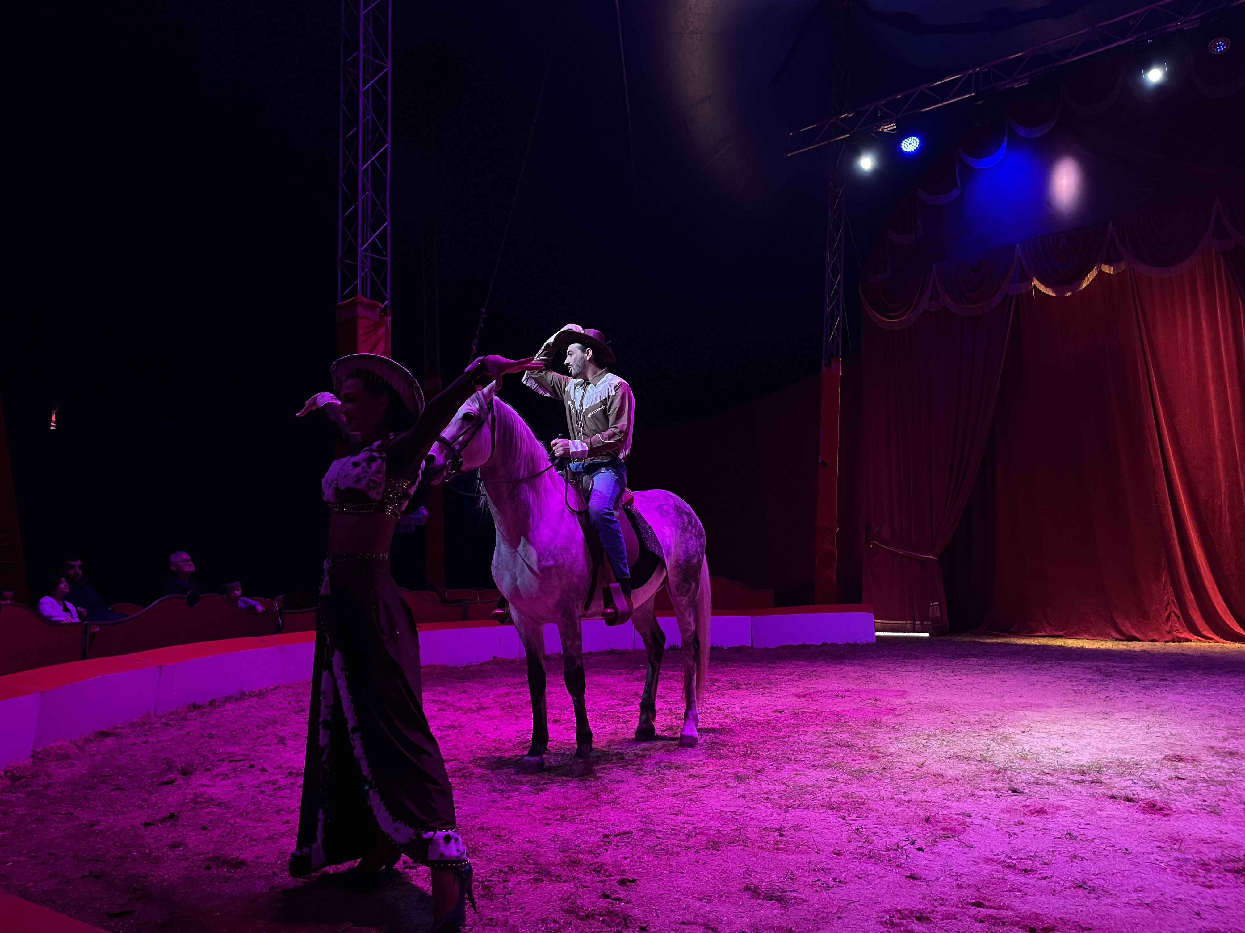 Chevaux